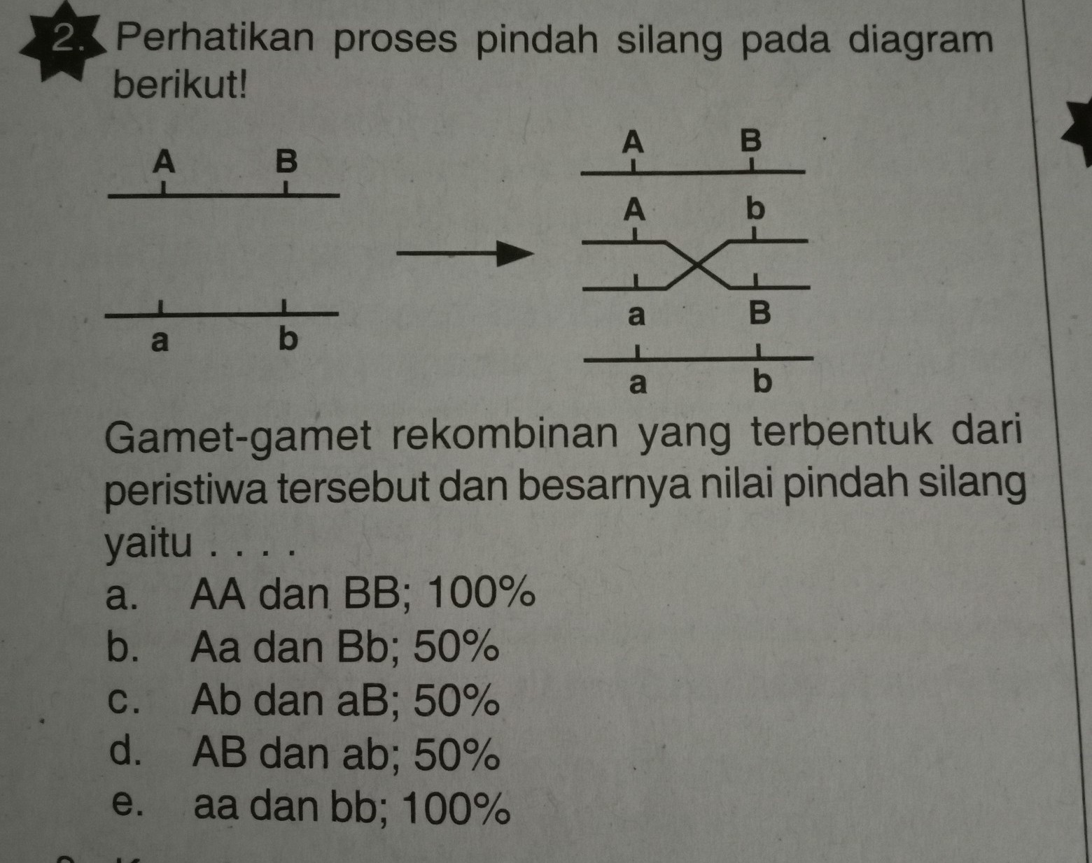 Detail Contoh Pindah Silang Nomer 21