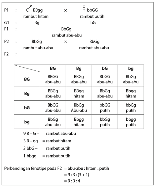 Detail Contoh Pindah Silang Nomer 30