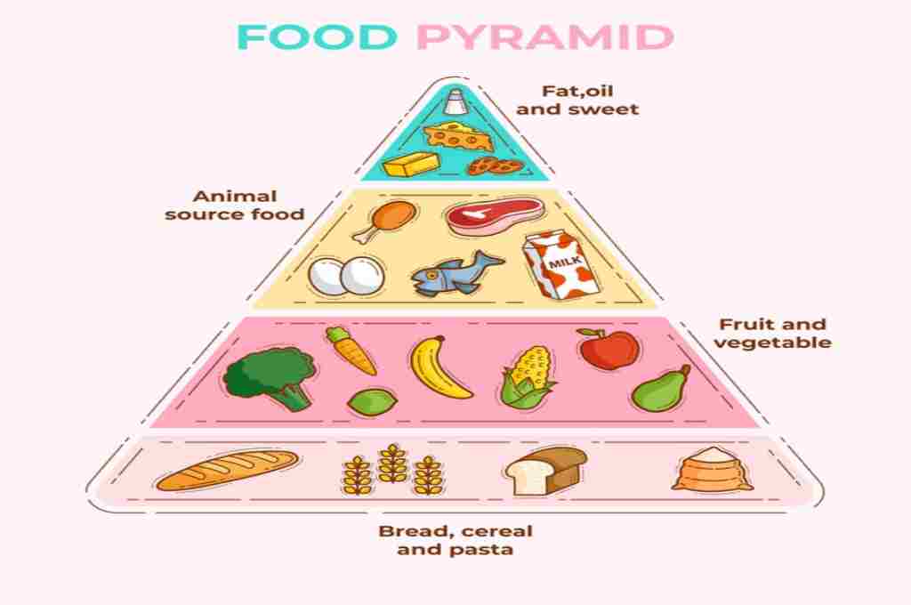 Detail Contoh Piramida Makanan Nomer 35
