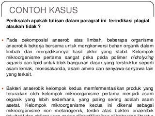 Contoh Plagiarisme Dalam Karya Ilmiah - KibrisPDR