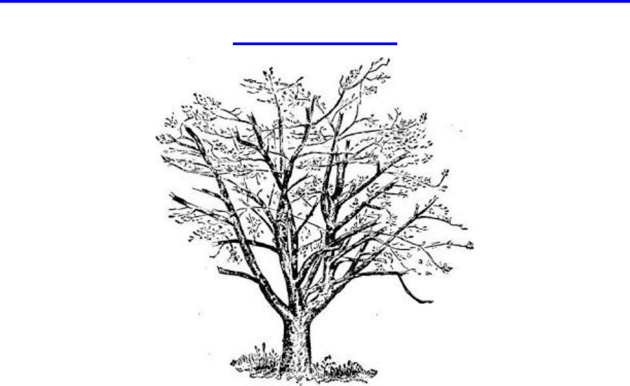 Detail Contoh Pohon Berkambium Nomer 39