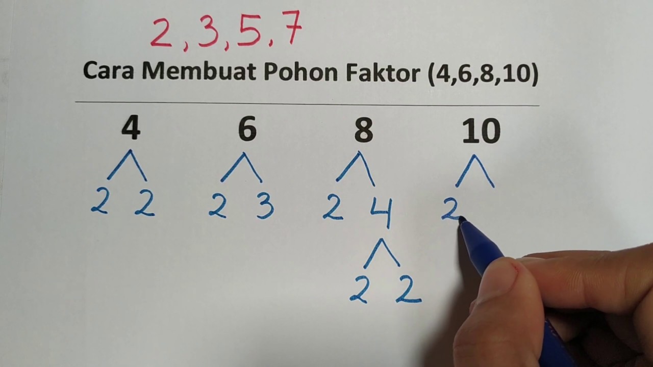 Detail Contoh Pohon Faktor Nomer 31