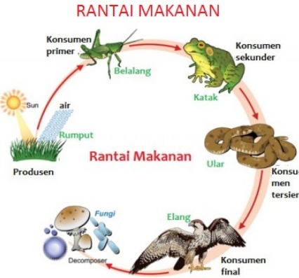 Detail Contoh Pola Interaksi Nomer 5