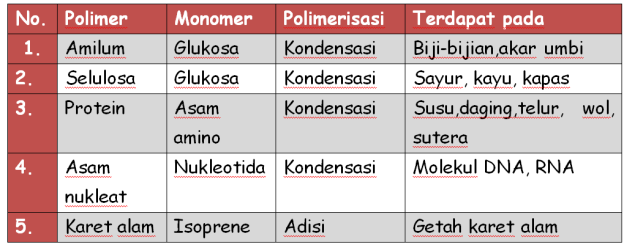 Detail Contoh Polimer Alami Nomer 10