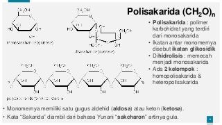 Detail Contoh Polimer Alami Nomer 48