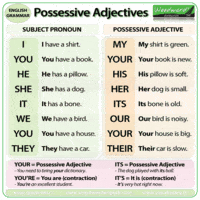 Detail Contoh Possessive Pronoun Nomer 14