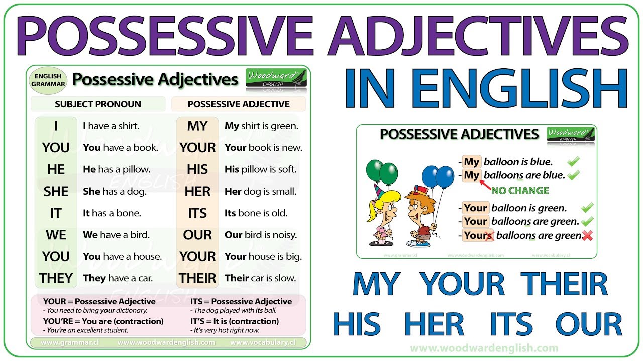 Detail Contoh Possessive Pronoun Nomer 20