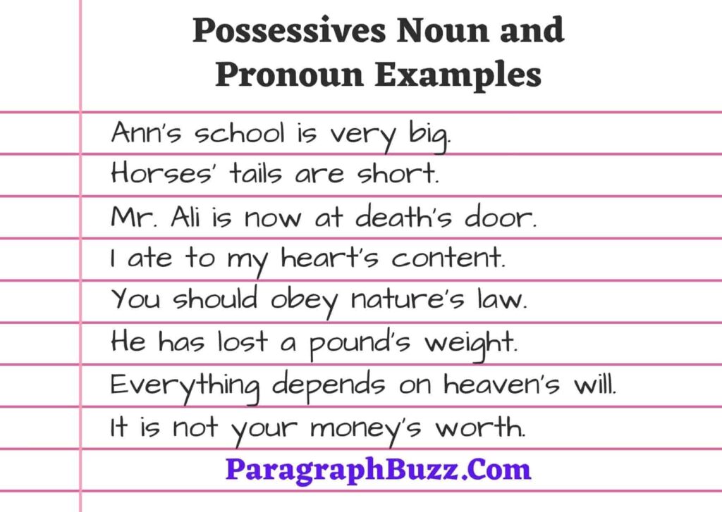 Detail Contoh Possessive Pronoun Nomer 21