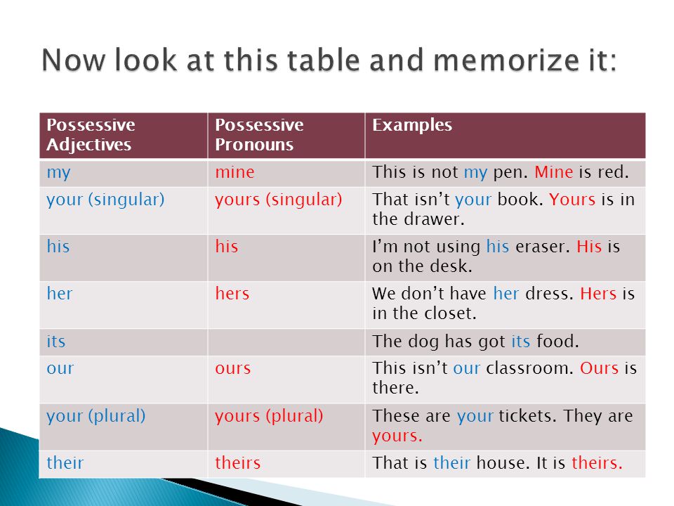 Detail Contoh Possessive Pronoun Nomer 27