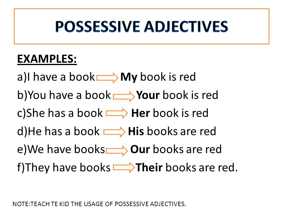 Detail Contoh Possessive Pronoun Nomer 28