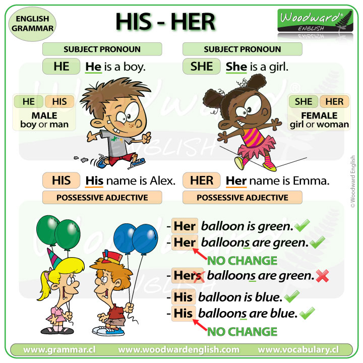 Detail Contoh Possessive Pronoun Nomer 44