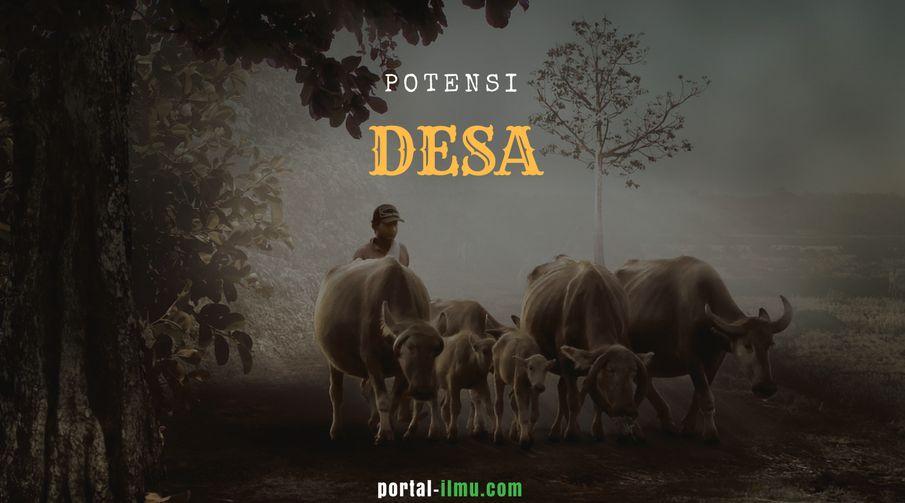 Detail Contoh Potensi Desa Nomer 7