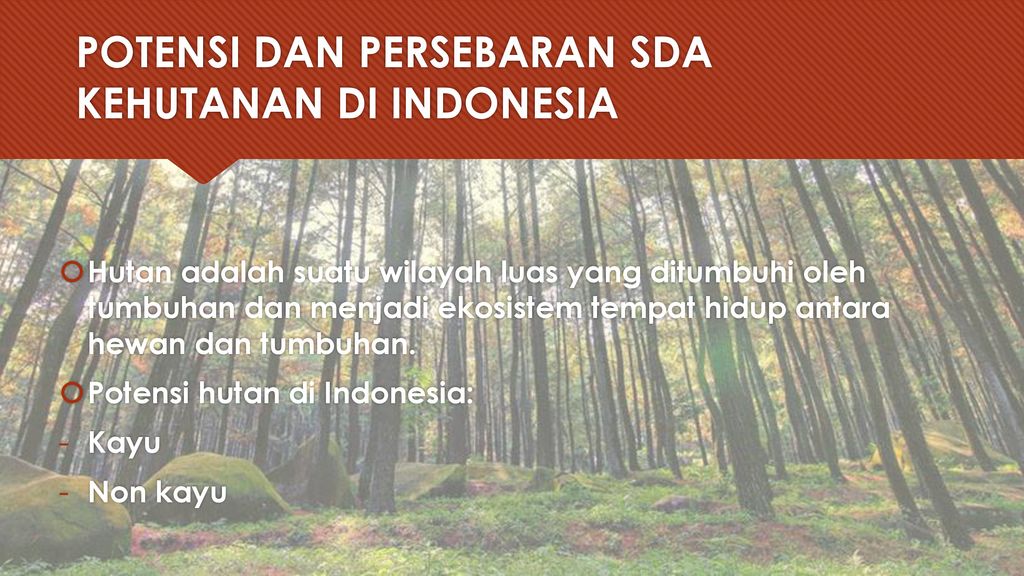 Detail Contoh Potensi Hutan Nomer 8