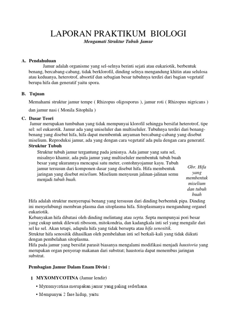 Detail Contoh Praktikum Biologi Sederhana Nomer 3