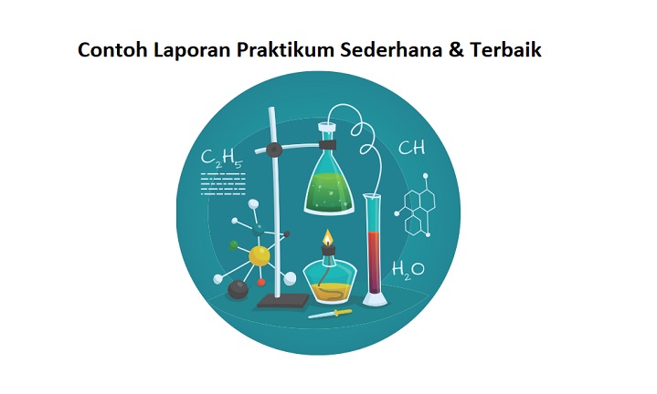 Detail Contoh Praktikum Biologi Sederhana Nomer 42