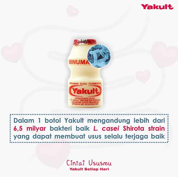 Detail Contoh Presentasi Produk Minuman Yakult Nomer 17