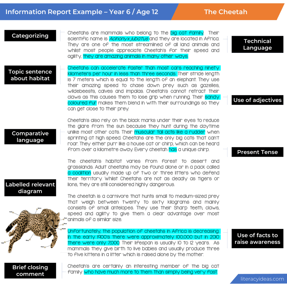 Detail Contoh Presenting Report Nomer 25