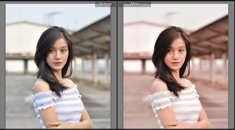 Detail Contoh Preset Lightroom Nomer 47