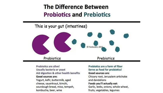 Detail Contoh Probiotik Dan Prebiotik Nomer 27