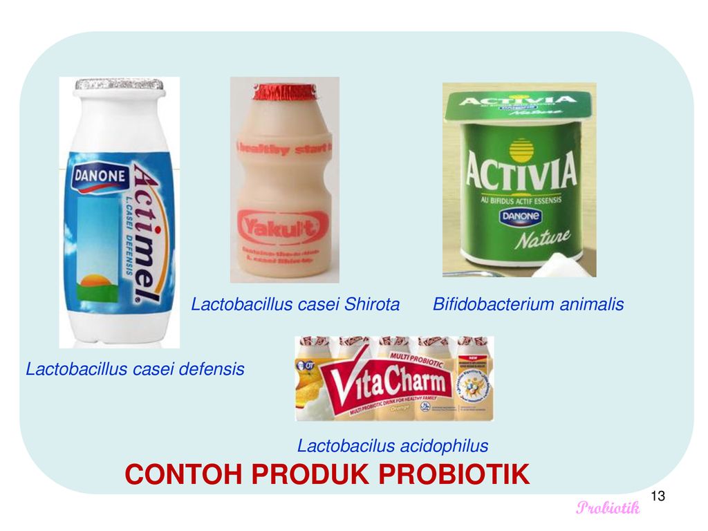 Detail Contoh Probiotik Dan Prebiotik Nomer 28