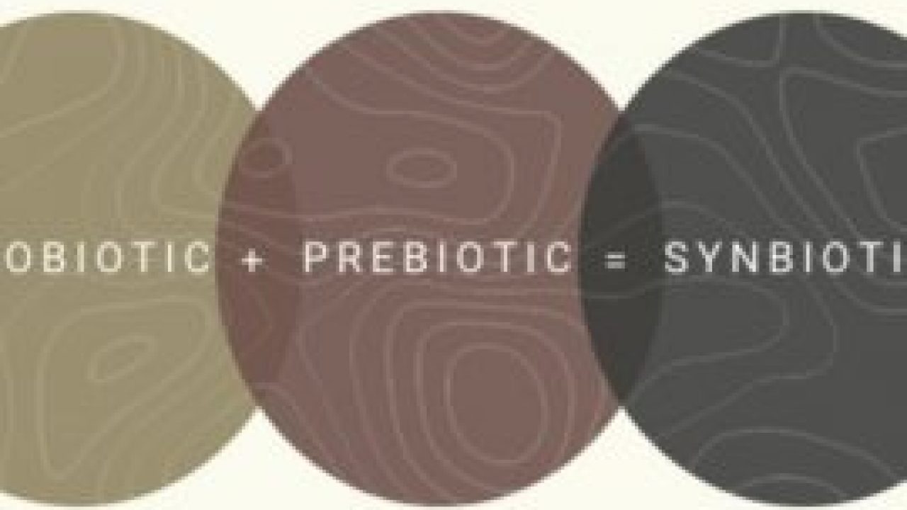 Detail Contoh Probiotik Dan Prebiotik Nomer 47