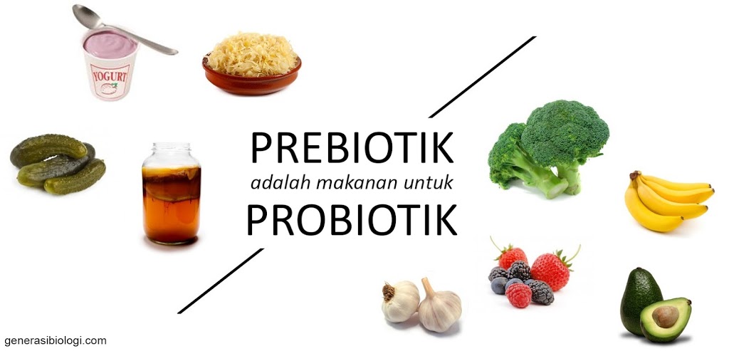 Detail Contoh Probiotik Dan Prebiotik Nomer 7