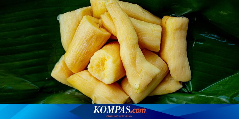 Detail Contoh Produk Fermentasi Nomer 30