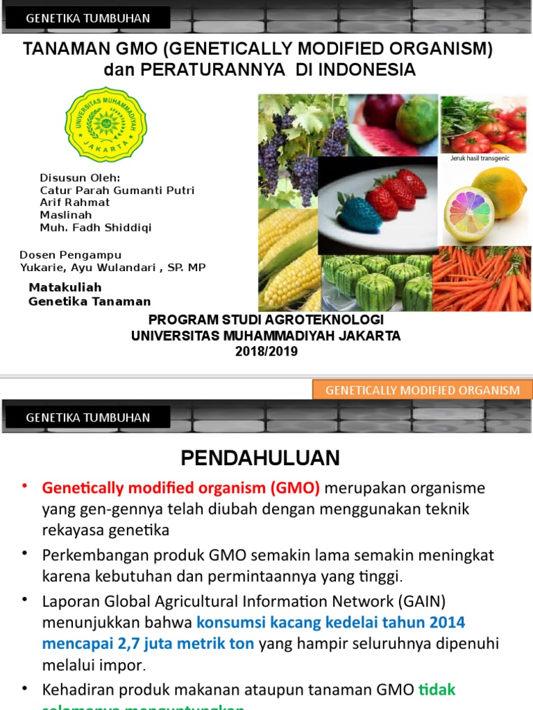 Detail Contoh Produk Gmo Nomer 26