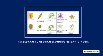 Detail Contoh Produk Non Agrikultur Nomer 34