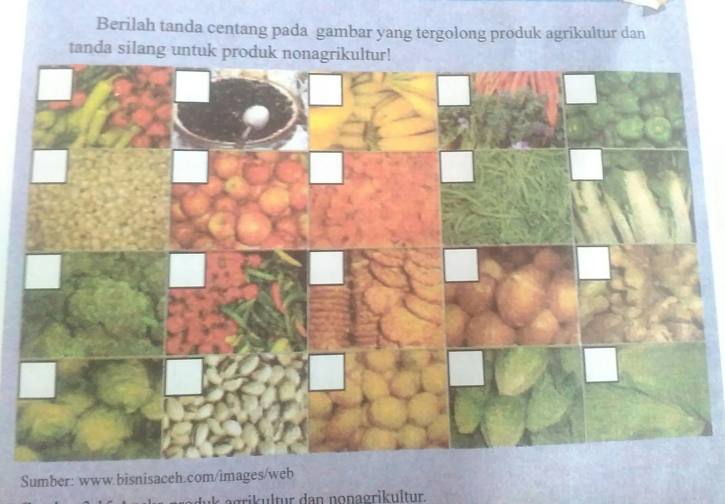 Detail Contoh Produk Non Agrikultur Nomer 10