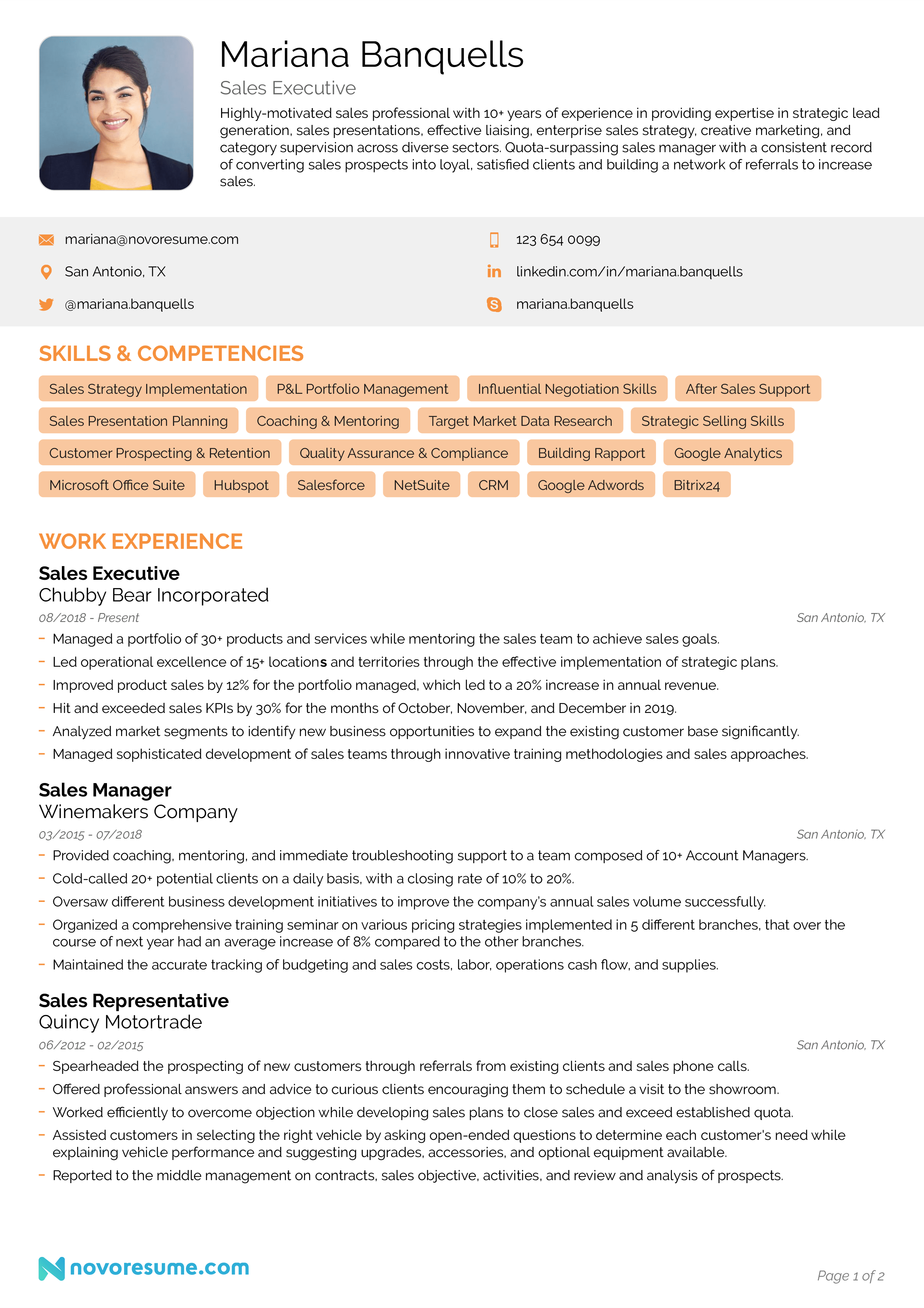 Detail Contoh Professional Summary Nomer 3