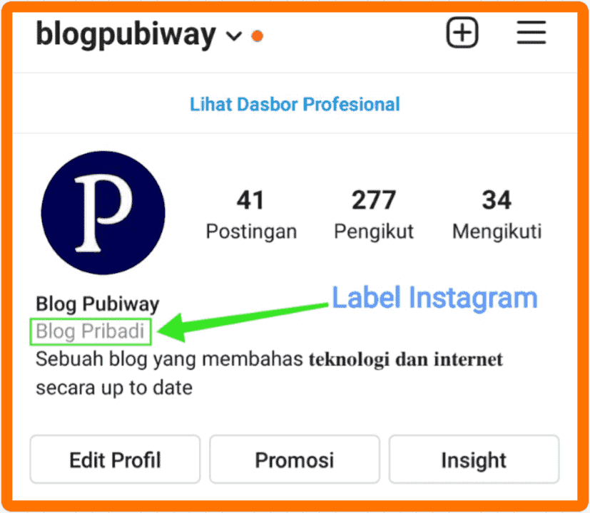 Detail Contoh Profil Blog Pribadi Nomer 15