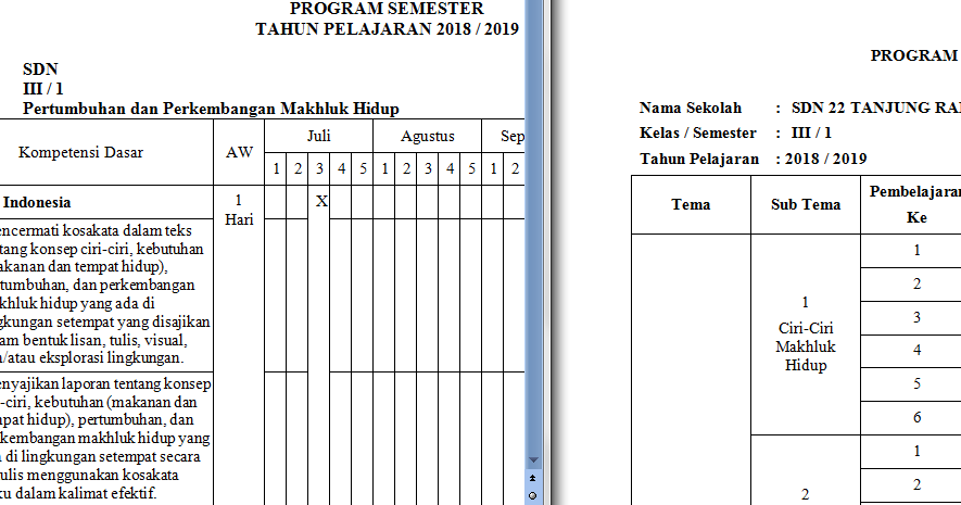 Detail Contoh Program Semester K13 Nomer 6