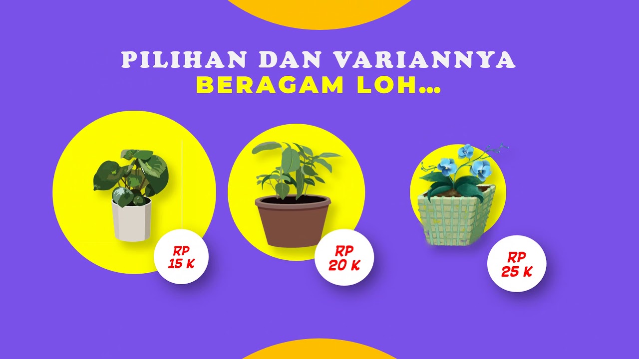 Detail Contoh Promosi Tanaman Hias Nomer 18