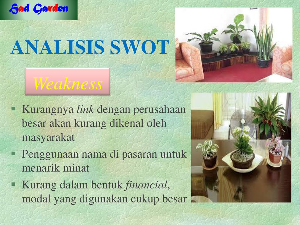 Detail Contoh Promosi Tanaman Hias Nomer 53