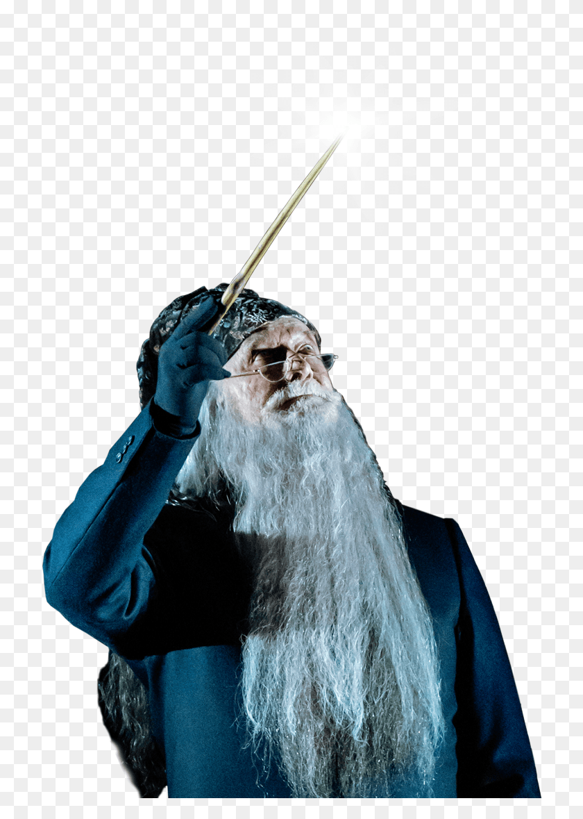 Detail Dumbledore Hd Nomer 24