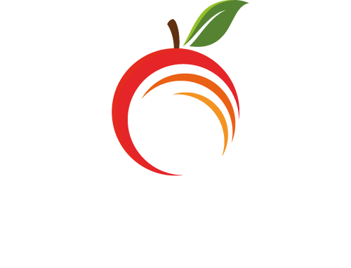 Detail Orange Frucht Nomer 23