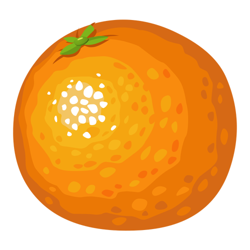 Detail Orange Frucht Nomer 6