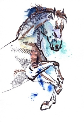 Detail Pferd Aquarell Nomer 13