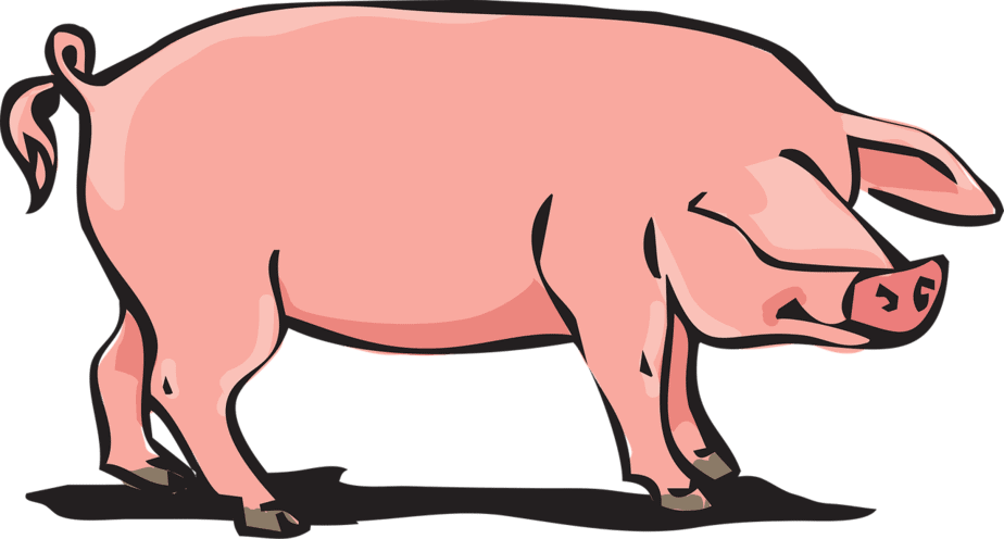 Detail Sms Schwein Nomer 11
