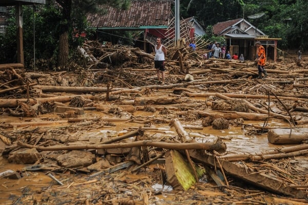 Detail Gambar Kerusakan Alam Nomer 19