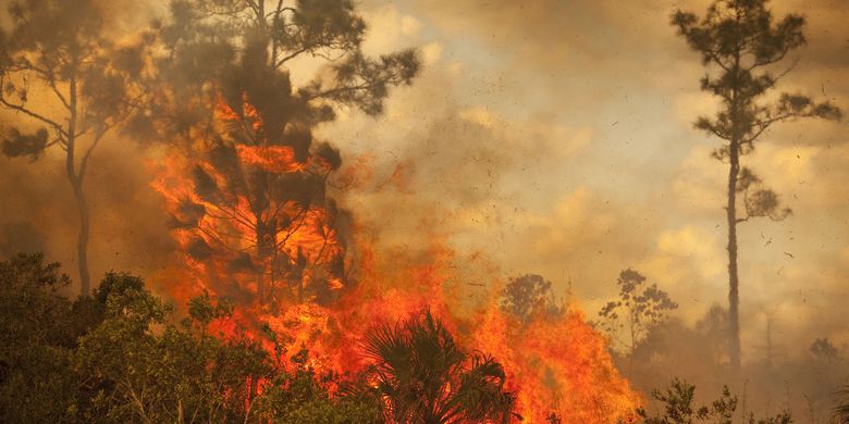 Detail Gambar Kerusakan Alam Akibat Pencemaran Air Nomer 24