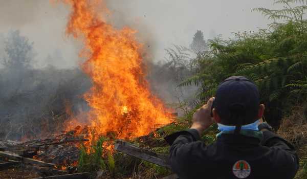 Detail Gambar Kerusakan Alam Akibat Pencemaran Lingkungan Nomer 35