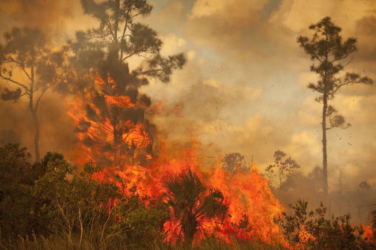 Detail Gambar Kerusakan Alam Akibat Pencemaran Lingkungan Nomer 9