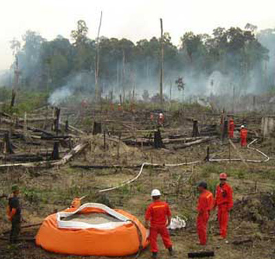 Detail Gambar Kerusakan Hutan Kemarau Panjang Nomer 9