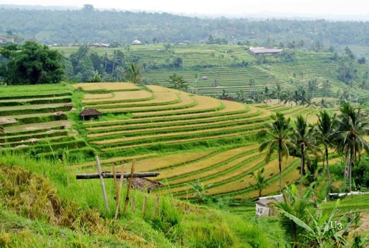 Detail Gambar Kerusakan Lingkungan Akibat Pembangunan Nomer 52