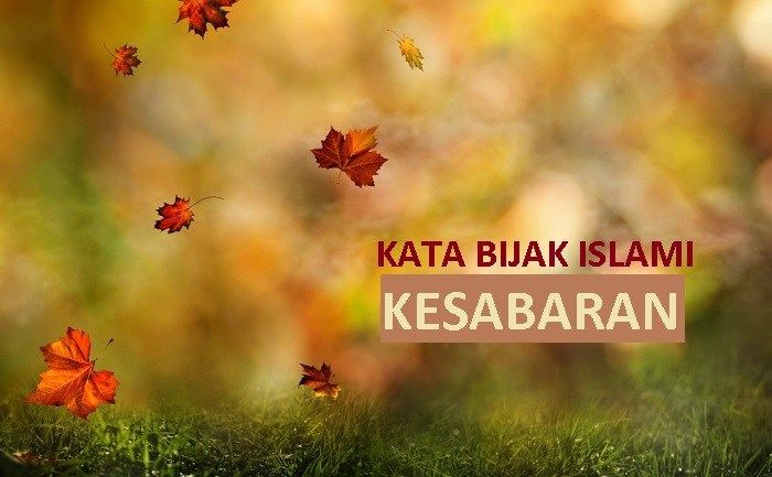 Detail Gambar Kesabaran Dan Bijaksana Nomer 29