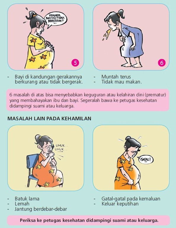 Detail Gambar Kesehatan Ibu Hamil Kartun Nomer 46