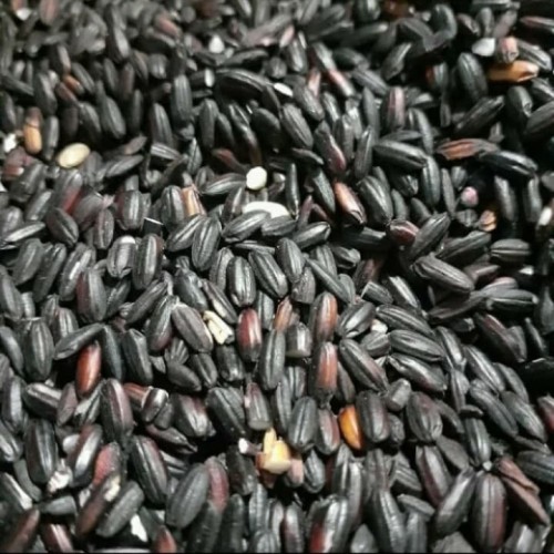 Detail Gambar Ketan Putih Campur Hitam Yang Mentah Nomer 13
