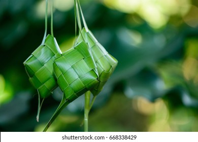 Detail Gambar Ketupat Lebaran Nomer 40